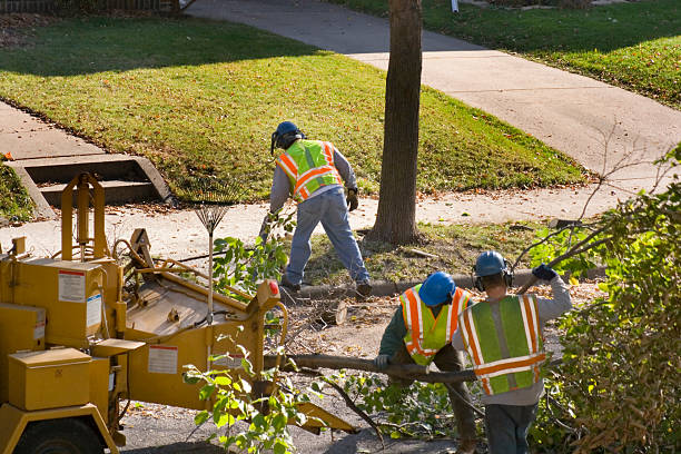 Lawn Watering Services in Alvarado, TX